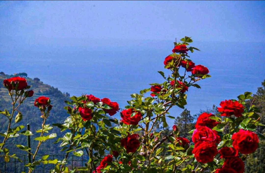 Ca Du Bene Villa Vernazza Exterior photo